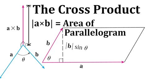 how to find area of parallelogram in vectors|Area Of Paraellograms & Triangles With Cross Products .